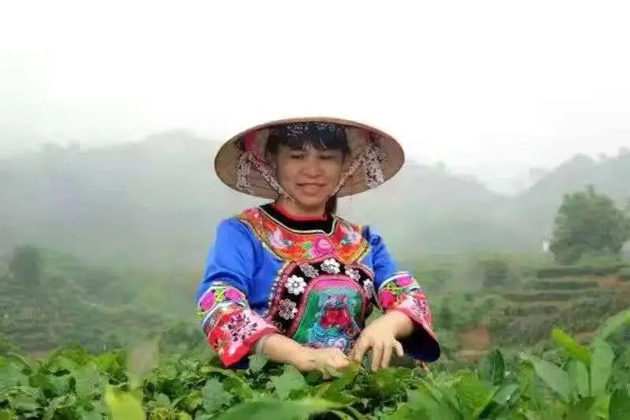 【梧州工匠】劉錦芳：鉆研和創(chuàng)新，帶領(lǐng)鄉(xiāng)親發(fā)家致富