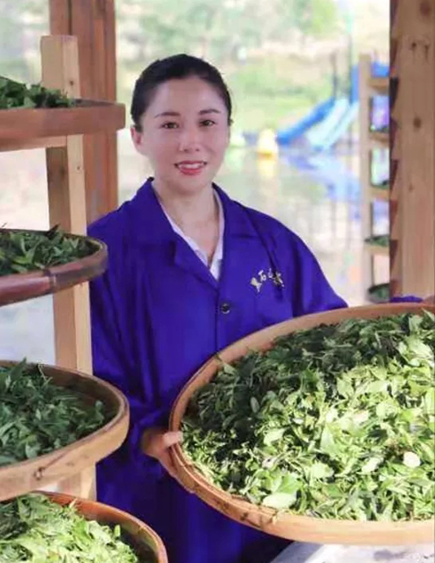 【梧州工匠】石濡菲：擇一茶，修一技，終一生