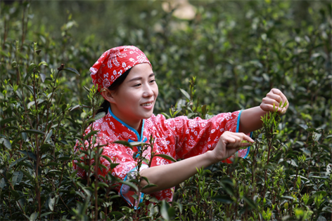 2022年“全國十佳農(nóng)民”揭曉 全國勞模石濡菲上榜！