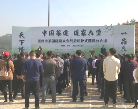 我市召開(kāi)茶產(chǎn)業(yè)發(fā)展大會(huì)茶園建設(shè)現(xiàn)場(chǎng)會(huì) 吹響建設(shè)百萬(wàn)畝茶園沖鋒號(hào)角