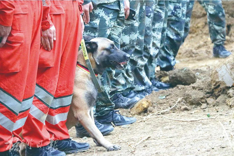 消防、武警、摩托車(chē)運(yùn)輸隊(duì)等多方力量聯(lián)合搜救｜東航客機(jī)墜毀事故救援現(xiàn)場(chǎng)直擊