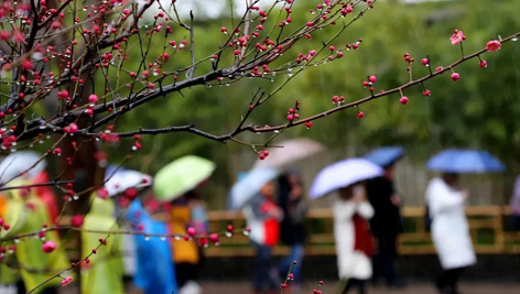 今日雨水！別忘了咱的老講究！