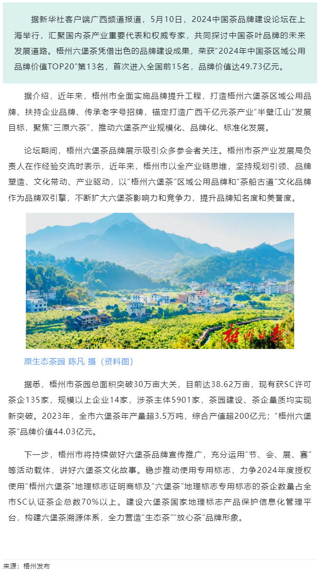排名全國第13名！&ldquo;梧州六堡茶&rdquo;品牌價值實現(xiàn)新突破.png