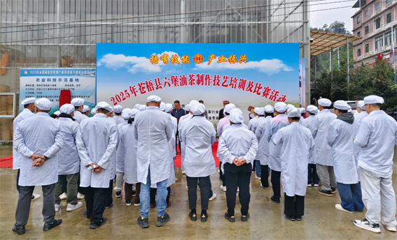 2025年蒼梧縣六堡油茶制作技藝培訓(xùn)及比賽活動(dòng)圓滿(mǎn)落幕！