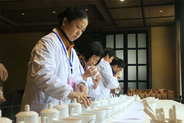 以賽促優(yōu) 以評提質——2025年蒼梧縣第一屆傳統(tǒng)工藝六堡茶評比大賽圓滿落幕